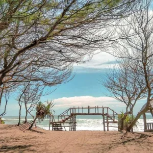 Pantai Cemara Sewu: Sensasi Teduh di Tepi Laut Selatan yang Eksotis